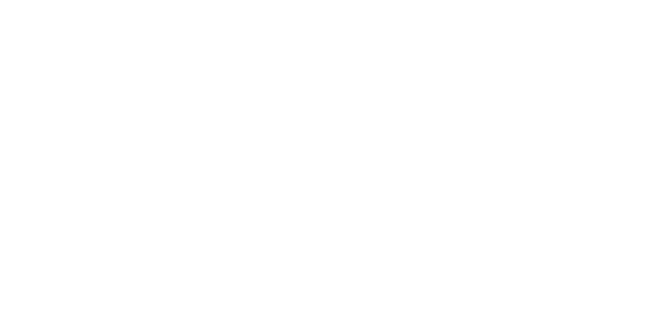 Excellent Staal